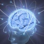 Татьяна Черниговская: «Как научить мозг учиться»