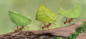 мотивация персонала