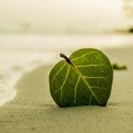 Удаленные сотрудники — они как РОБИНЗОНЫ