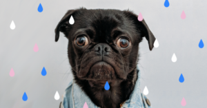 атоматицация HR